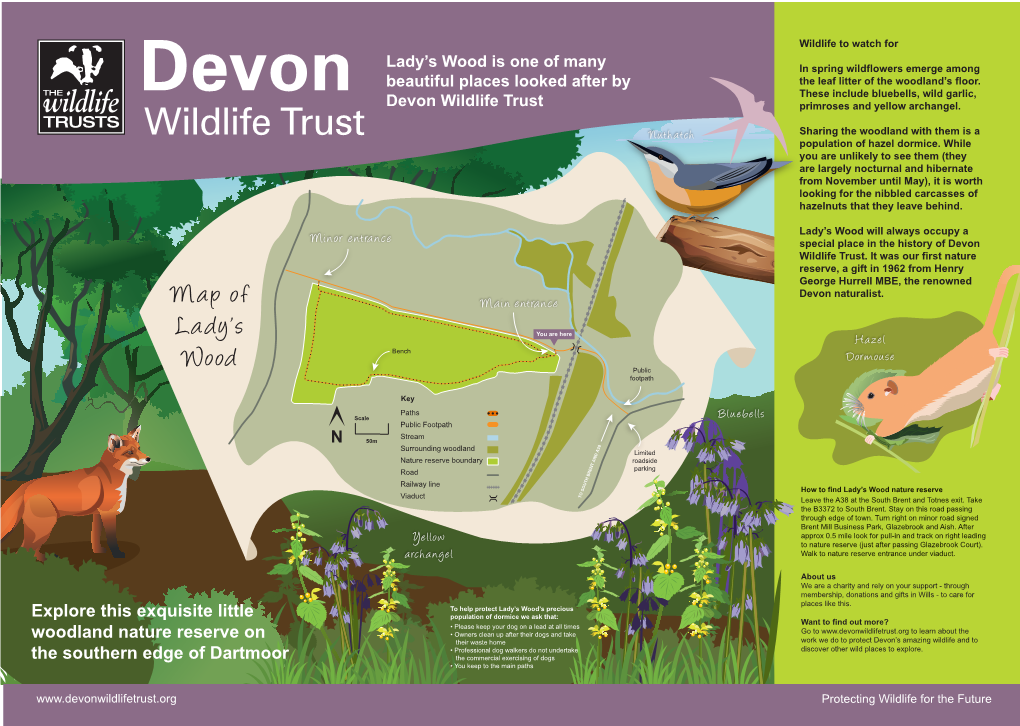 Lady's Wood Nature Reserve Leaflet