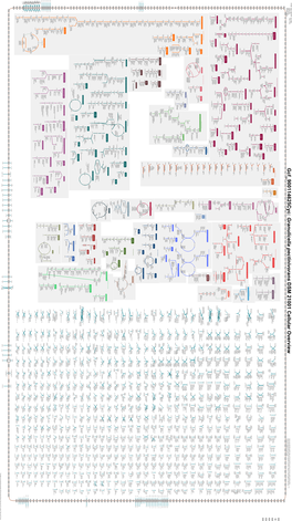 Generated by SRI International Pathway Tools Version 25.0 on Sat