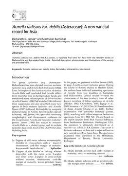Acmella Radicans Var. Debilis (Asteraceae): a New Varietal Record for Asia