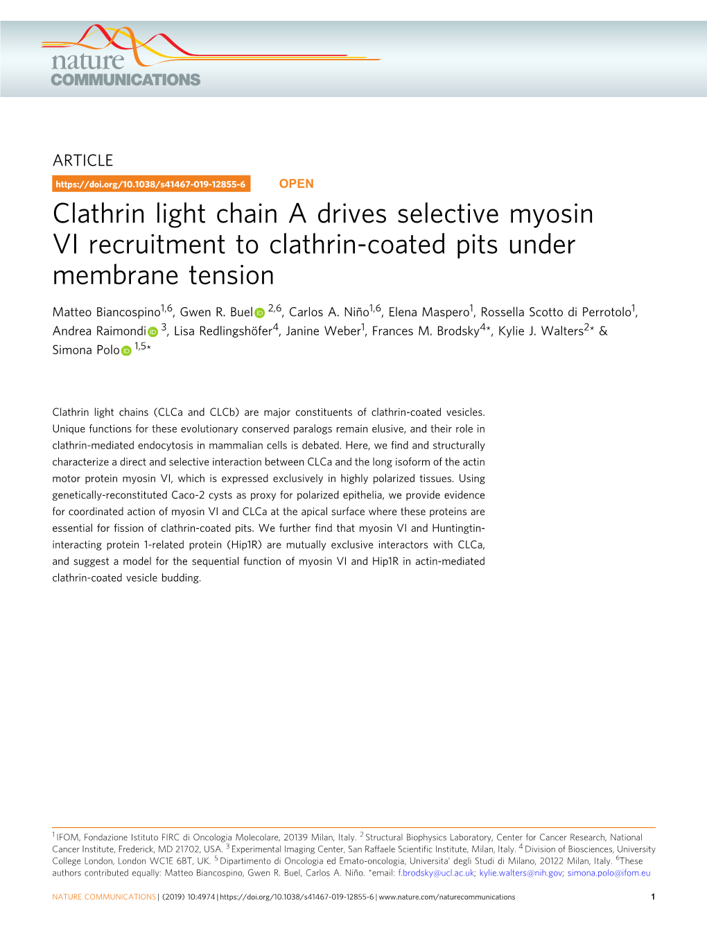 Clathrin Light Chain a Drives Selective Myosin VI Recruitment to Clathrin-Coated Pits Under Membrane Tension