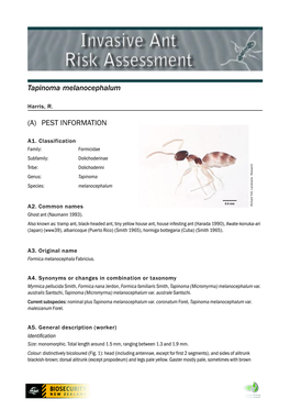Tapinoma Melanocephalum (A) PEST INFORMATION