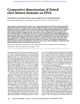 Cooperative Dimerization of Paired Class Homeo Domains on DNA