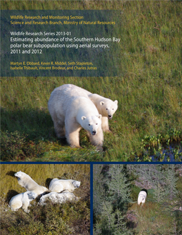 Estimating Abundance of the Southern Hudson Bay Polar Bear Subpopulation Using Aerial Surveys, 2011 and 2012
