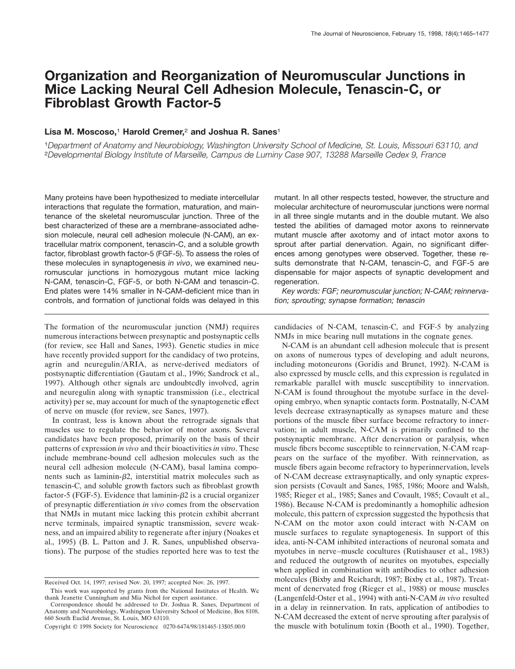 Organization and Reorganization of Neuromuscular Junctions in Mice Lacking Neural Cell Adhesion Molecule, Tenascin-C, Or Fibroblast Growth Factor-5