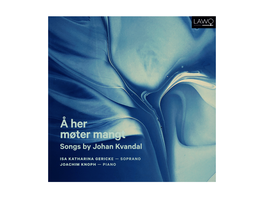 Å Her Møter Mangt Songs by Johan Kvandal