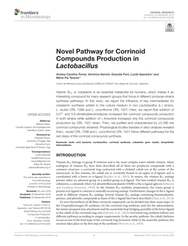 Novel Pathway for Corrinoid Compounds Production in Lactobacillus
