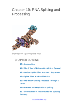Chapter 19: RNA Splicing and Processing