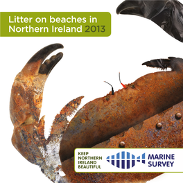 Litter on Beaches in Northern Ireland 2013