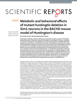 Metabolic and Behavioral Effects of Mutant Huntingtin Deletion in Sim1