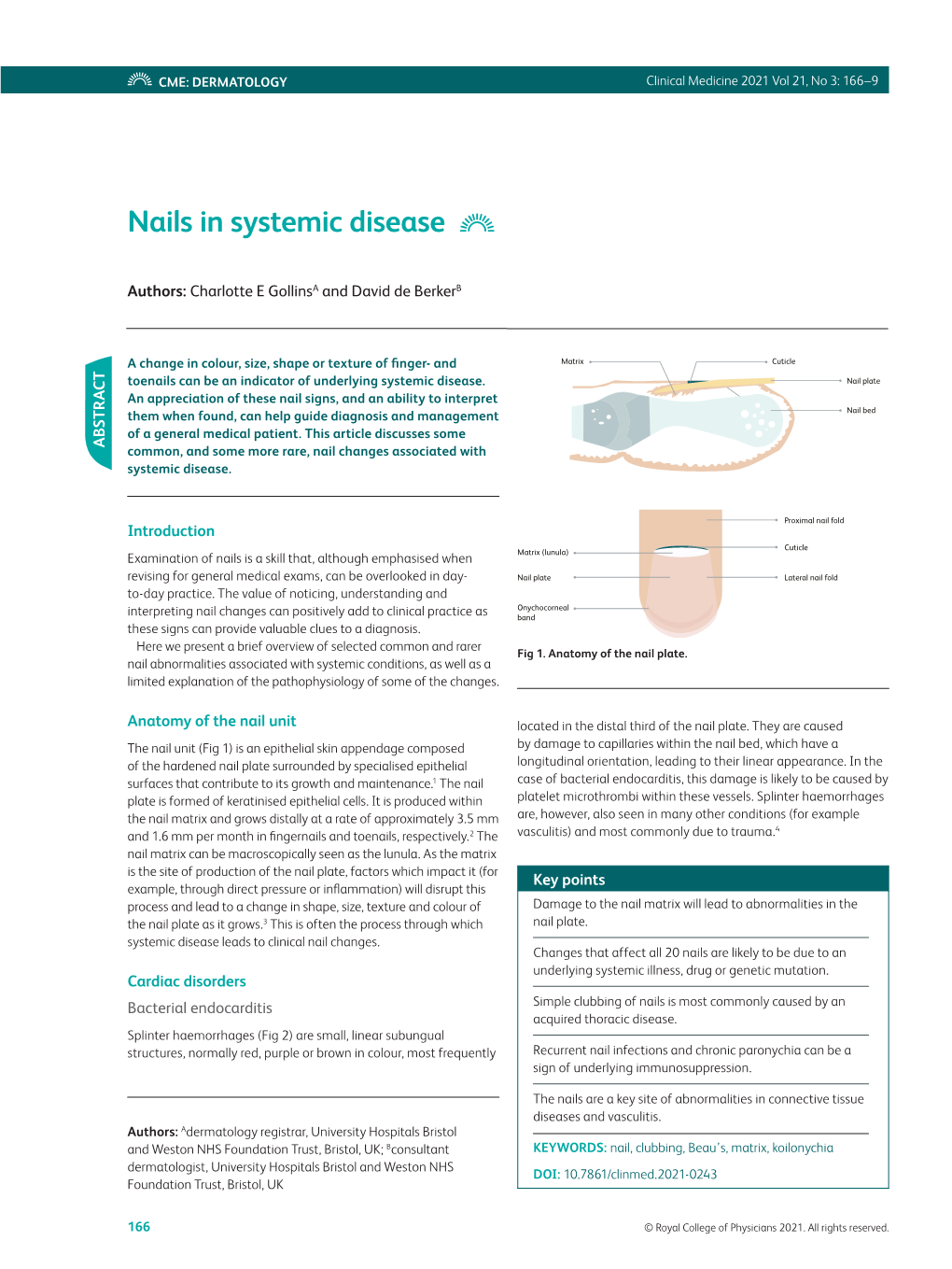 Nails in Systemic Disease