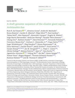 A Draft Genome Sequence of the Elusive Giant Squid, Architeuthis Dux Rute R