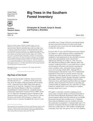 Big Trees in the Southern Forest Inventory