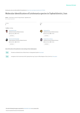 Molecular Identification of Leishmania Species in Taybad District, Iran