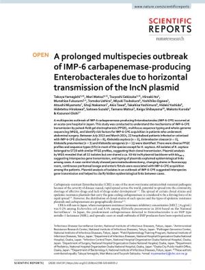 A Prolonged Multispecies Outbreak of IMP-6 Carbapenemase-Producing