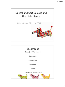Dachshund Coat Colours and Their Inheritance