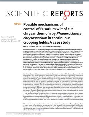Possible Mechanisms of Control of Fusarium Wilt of Cut Chrysanthemum