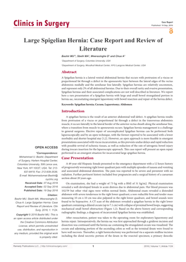 Large Spigelian Hernia: Case Report and Review of Literature