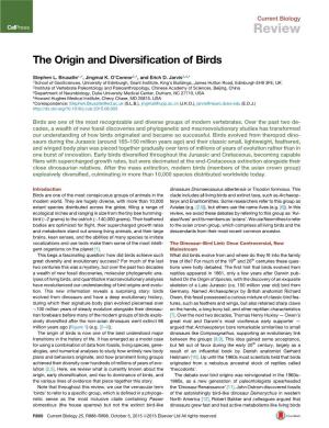 The Origin and Diversification of Birds