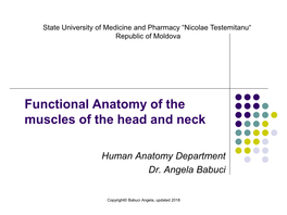 Functional Anatomy of the Muscles of the Head and Neck