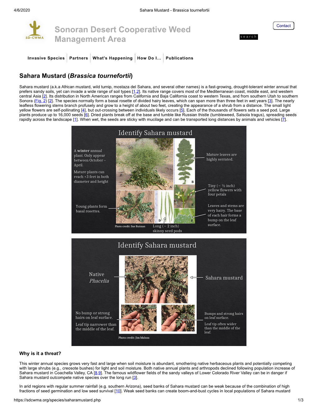 Sahara Mustard Tech Bulletin – ND – SDCWMA