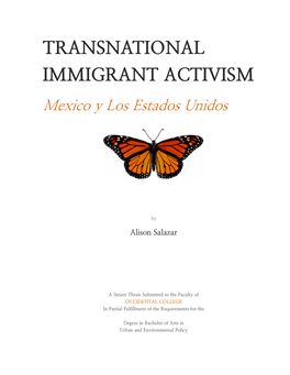 Transnational Immigrant Activism