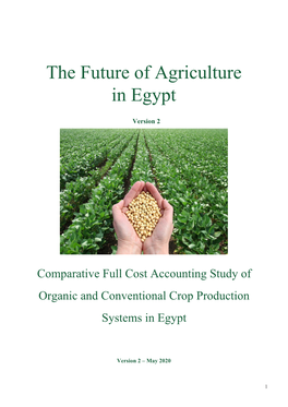 The Future of Agriculture in Egypt