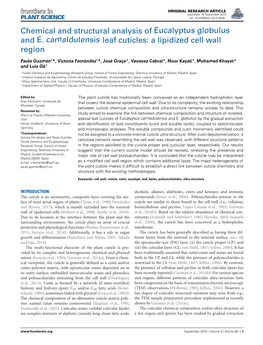 Chemical and Structural Analysis of Eucalyptus Globulus and E