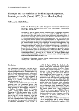 Plumages and Size Variation of the Himalayan Rubythroat, Lusciniapectoralis (Gould, 1837) (Aves: Muscicapidae)