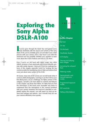 Exploring the Sony Alpha DSLR-A100 15