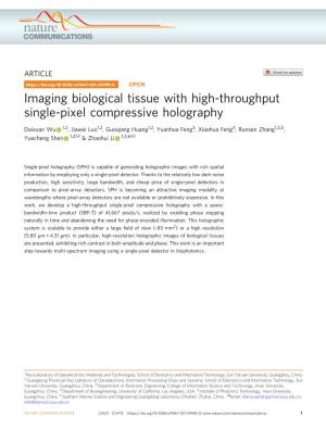Imaging Biological Tissue with High-Throughput Single-Pixel Compressive Holography