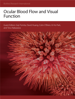 Ocular Blood Flow and Visual Function