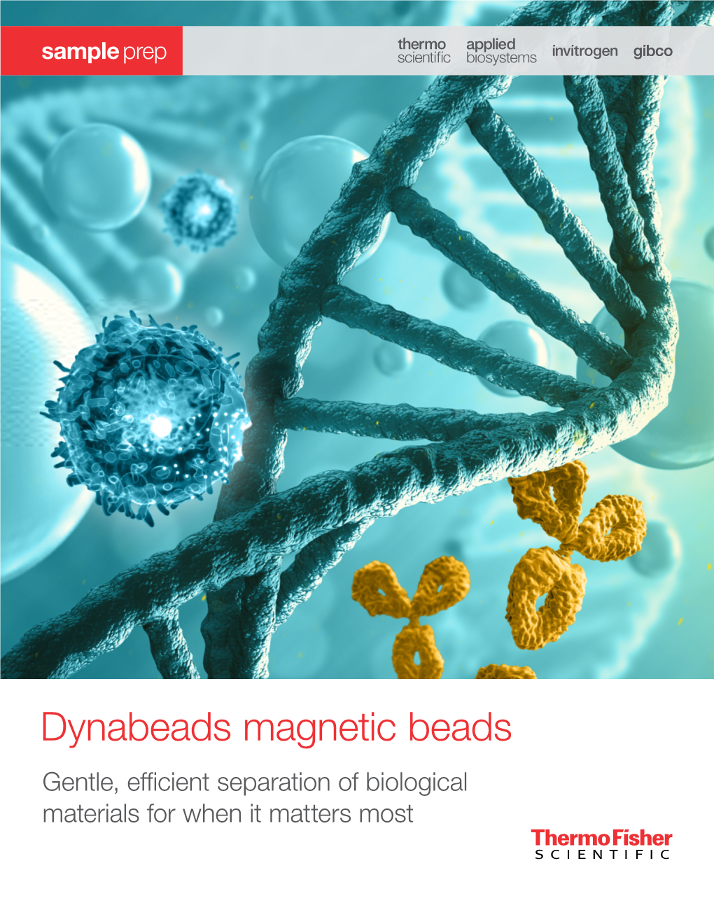 Dynabeads Magnetic Beads