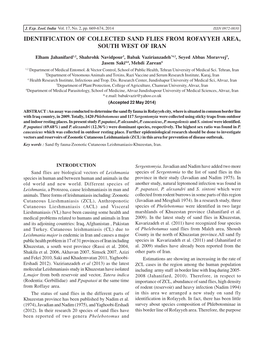 Identification of Collected Sand Flies from Rofayyeh Area, South West of Iran