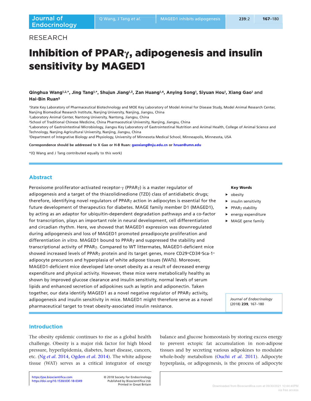 Inhibition of Pparγ, Adipogenesis and Insulin Sensitivity by MAGED1