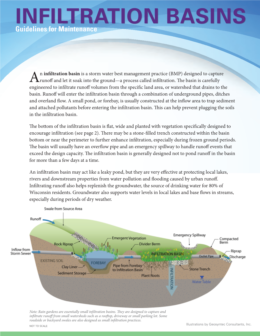 INFILTRATION BASINS Guidelines for Maintenance