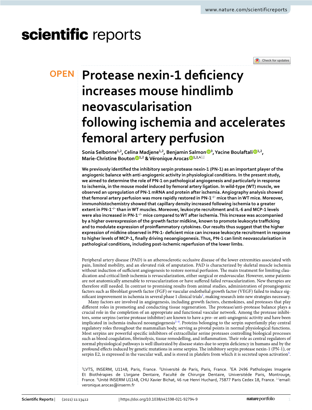 Protease Nexin-1 Deficiency Increases Mouse Hindlimb