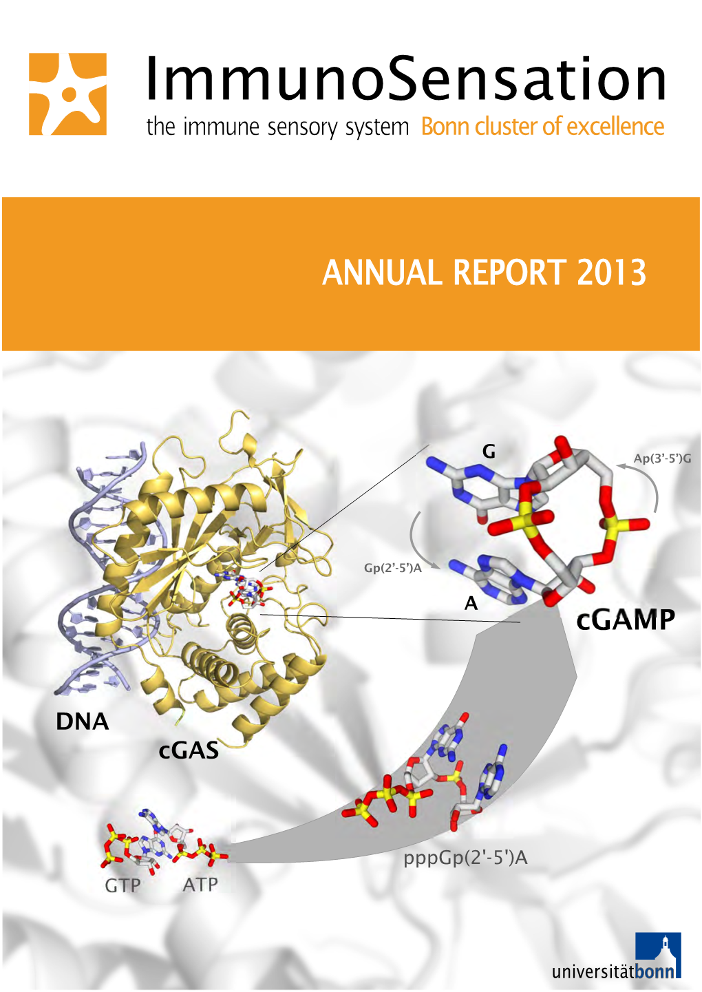 Immunosensation the Immune Sensory System Bonn Cluster of Excellence