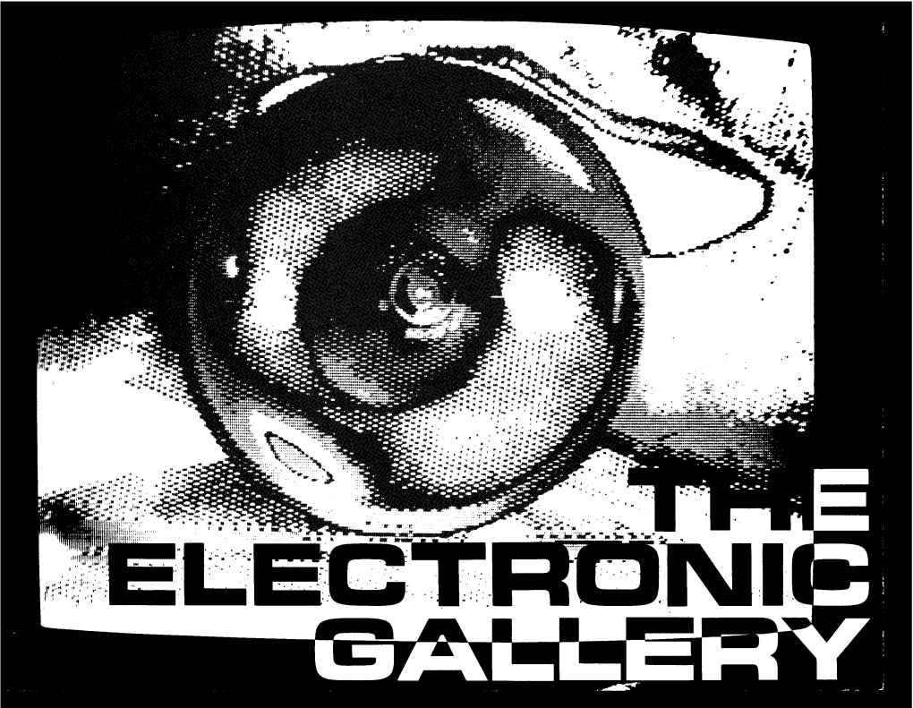 The Electronic Gallery