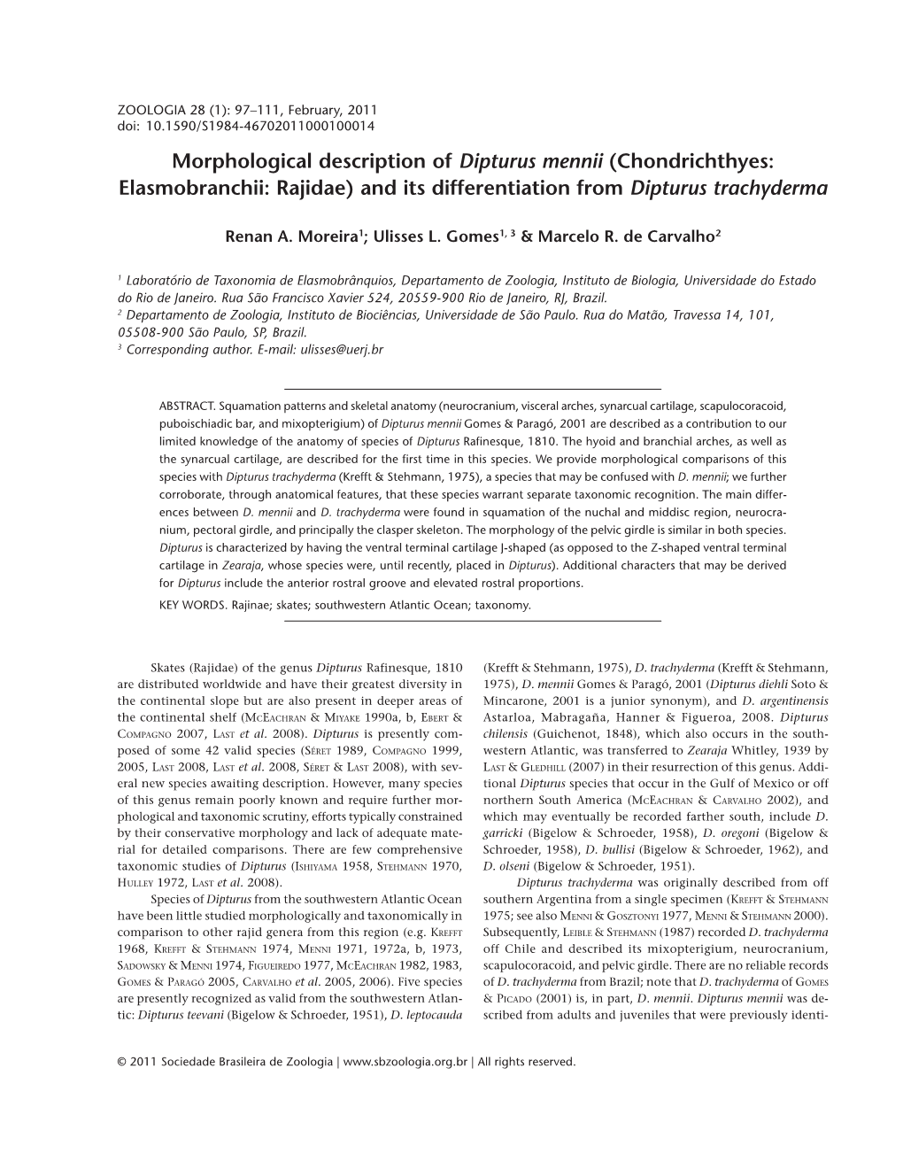 Morphological Description of Dipturus Mennii (Chondrichthyes: Elasmobranchii: Rajidae) and Its Differentiation from Dipturus Trachyderma