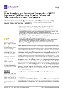 STAT3) Suppresses STAT1/Interferon Signaling Pathway and Inﬂammation in Senescent Preadipocytes
