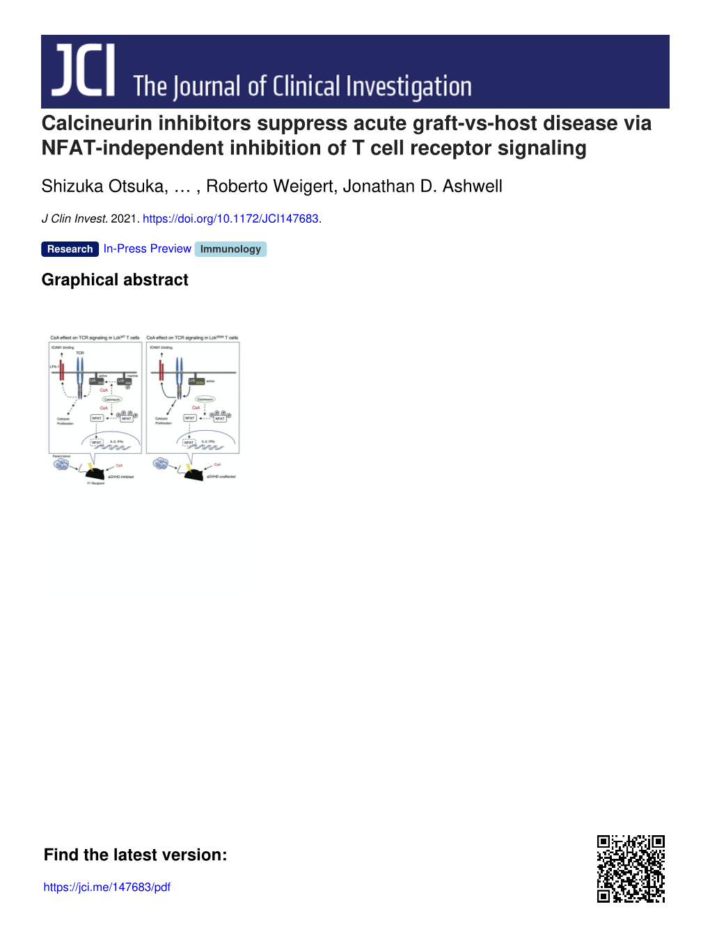 Calcineurin Inhibitors Suppress Acute Graft-Vs-Host Disease Via NFAT-Independent Inhibition of T Cell Receptor Signaling
