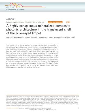 A Highly Conspicuous Mineralized Composite Photonic Architecture in the Translucent Shell of the Blue-Rayed Limpet