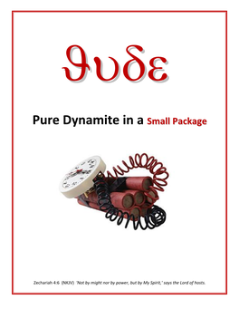 Jude: Pure Dynamite in a Small Package Winter 2012