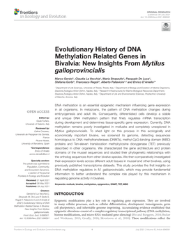 Evolutionary History of DNA Methylation Related Genes in Bivalvia: New Insights from Mytilus Galloprovincialis