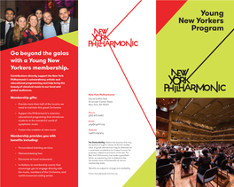 Young New Yorkers Program