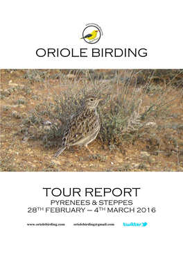 Oriole Birding Tour Report