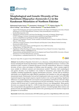 Morphological and Genetic Diversity of Sea Buckthorn (Hippophae Rhamnoides L.) in the Karakoram Mountains of Northern Pakistan