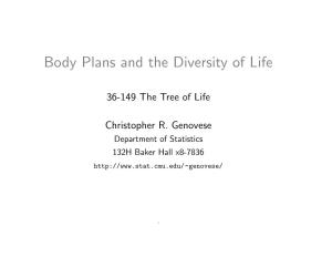 Body Plans and the Diversity of Life