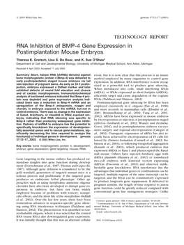 RNA Inhibition of BMP-4 Gene Expression in Postimplantation Mouse Embryos