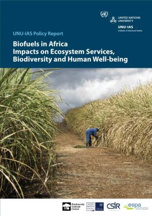 Biofuels in Africa Impacts on Ecosystem Services, Biodiversity and Human Well-Being